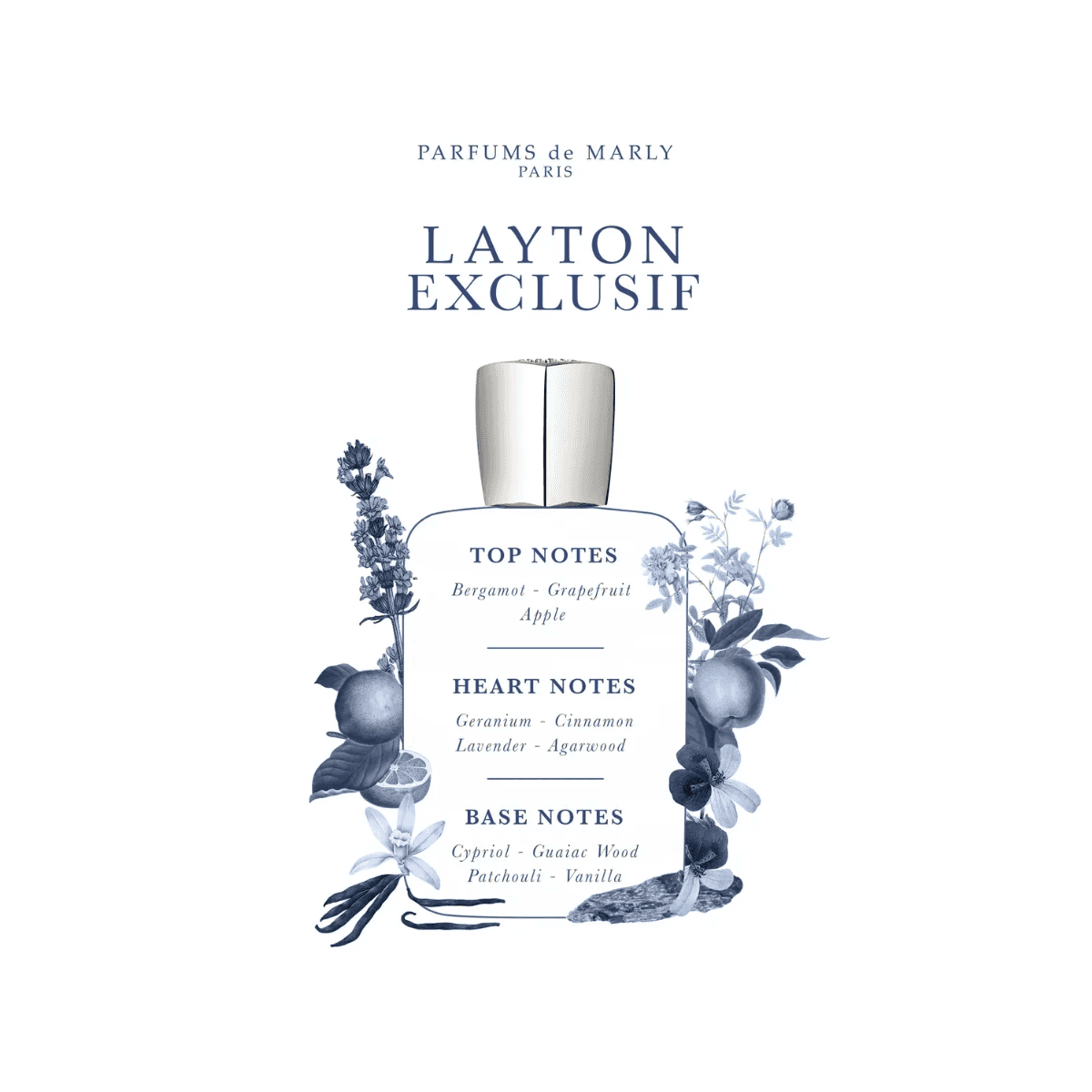 Layton Exclusif fragrance notes infographic - Parfums de Marly