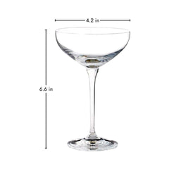 Single Hotel Collection Champagne Coupe Glass 9.7 oz with dimensions 6.6 in tall and 4.2 in wide, showcasing its refined shape and proportions.