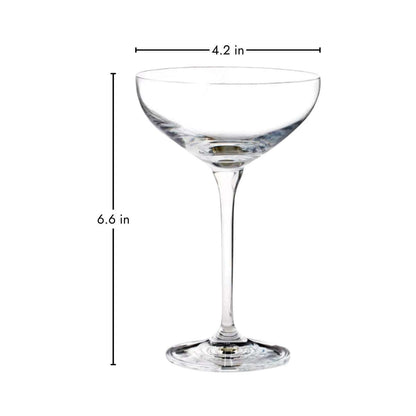 Single Hotel Collection Champagne Coupe Glass 9.7 oz with dimensions 6.6 in tall and 4.2 in wide, showcasing its refined shape and proportions.