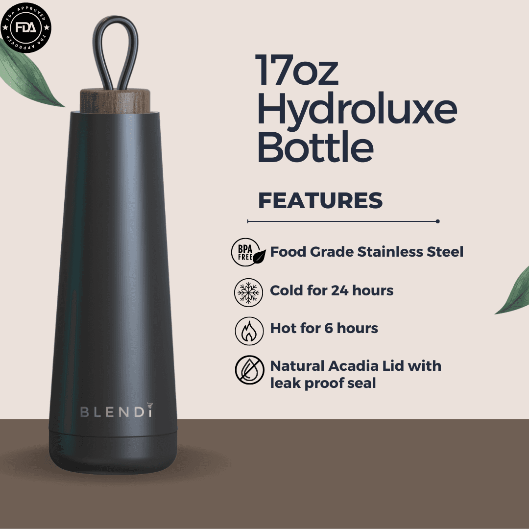 Hydroluxe 17 oz Stainless Steel Water Bottle