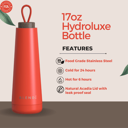 Hydroluxe 17 oz Stainless Steel Water Bottle