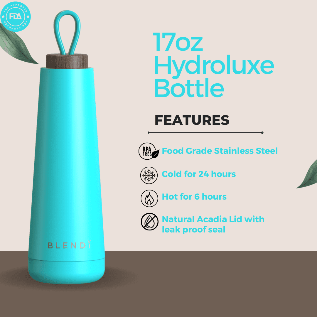 Hydroluxe 17 oz Stainless Steel Water Bottle