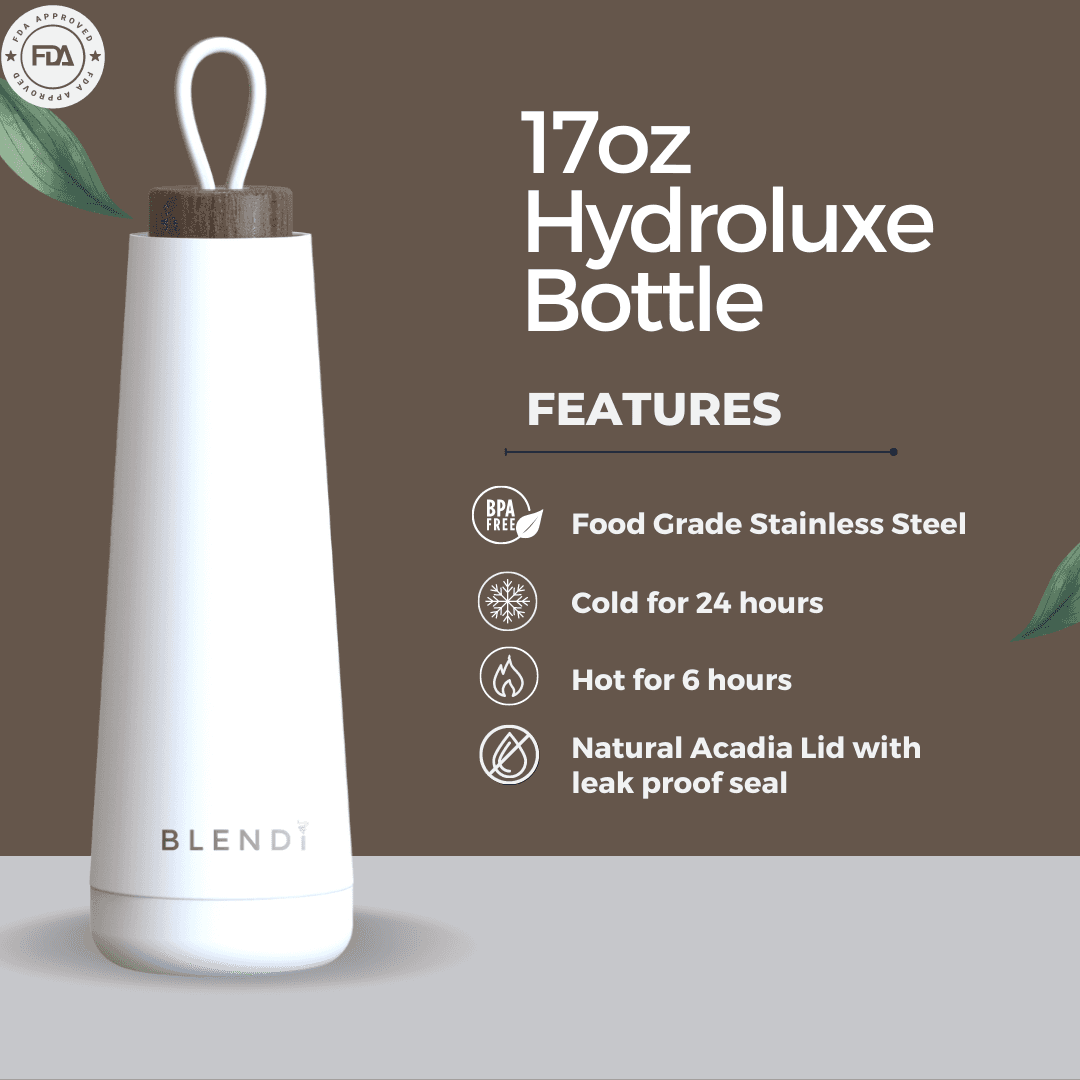 Hydroluxe 17 oz Stainless Steel Water Bottle