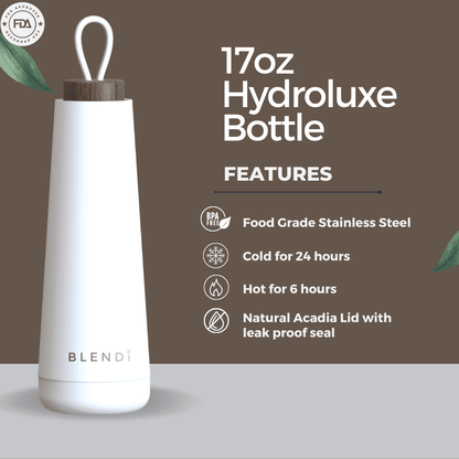 Hydroluxe 17 oz Stainless Steel Water Bottle