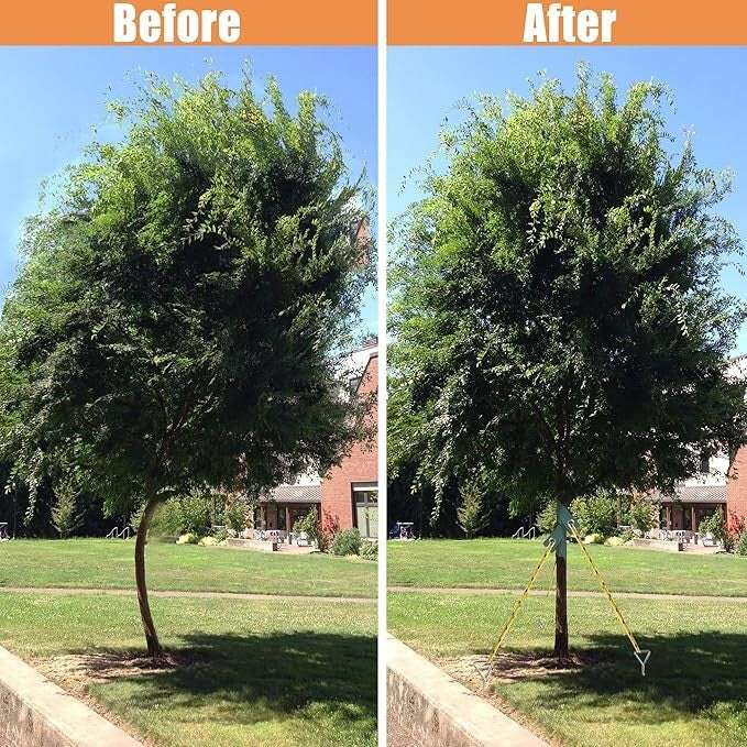 Before and after comparison of a leaning tree corrected using the Heavy Duty Steel Tree Stake Kit for outdoor tree support and alignment.