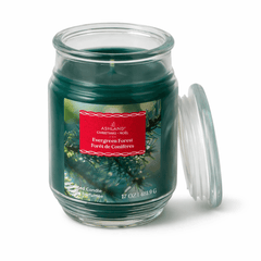 Green candle in a glass jar with a red label on a white background. Evergreen Forest scented.