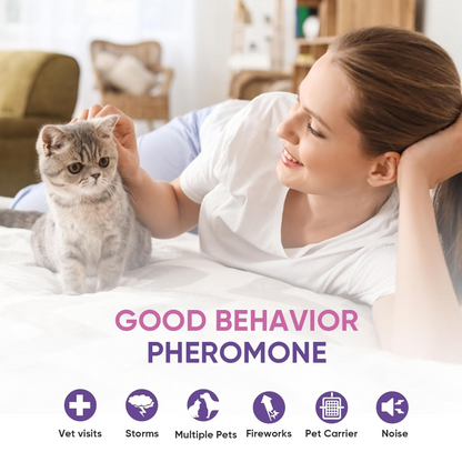 Cat Calming Pheromone Diffuser Kit – 2 Diffusers + 4 Refills (48ml) – Stress & Anxiety Relief for Cats