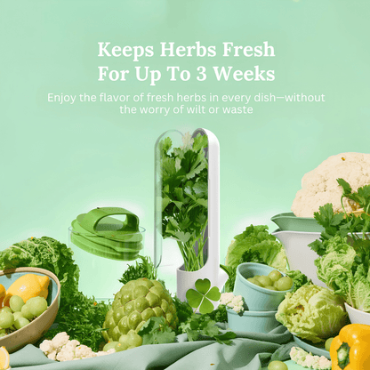 Herb Saver with herbs