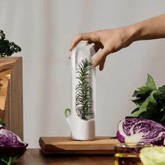 Herb Saver in use