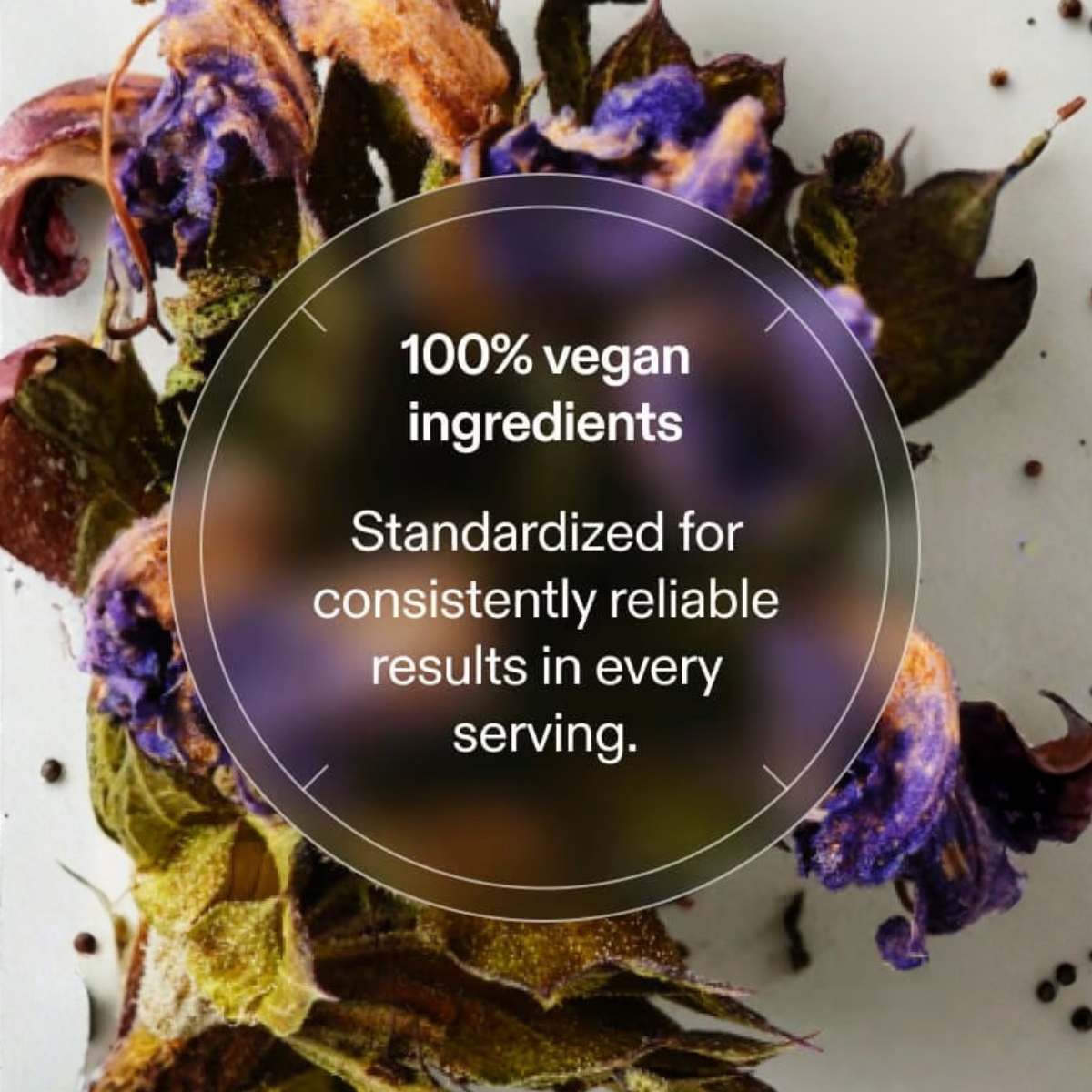 Vegan ingredients with text overlay on a natural background