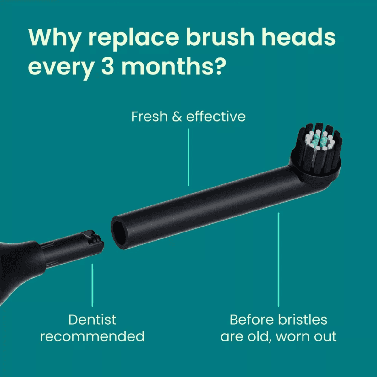 Black quip Rev replacement toothbrush heads for oral care