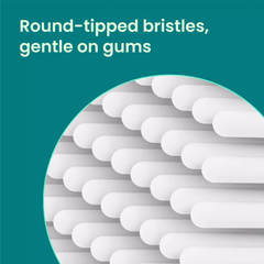 Close-up of round-tipped bristles on toothbrush head for gentle cleaning