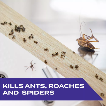 Insects on a wooden surface with text indicating pest control capabilities.