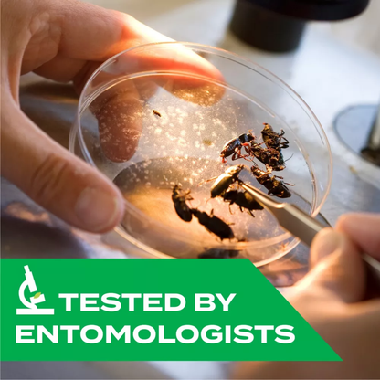 Person holding a petri dish with insects and a tool, with 'Tested by Entomologists' text overlay.