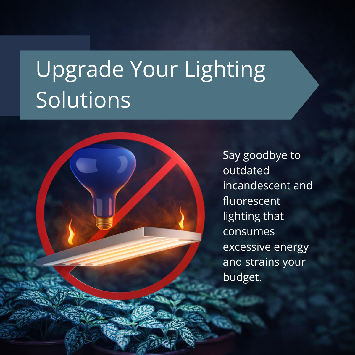 Visual comparison promoting SmokePhonics Blue Spectrum LED Grow Light Bulb 11W over incandescent and fluorescent lighting options.