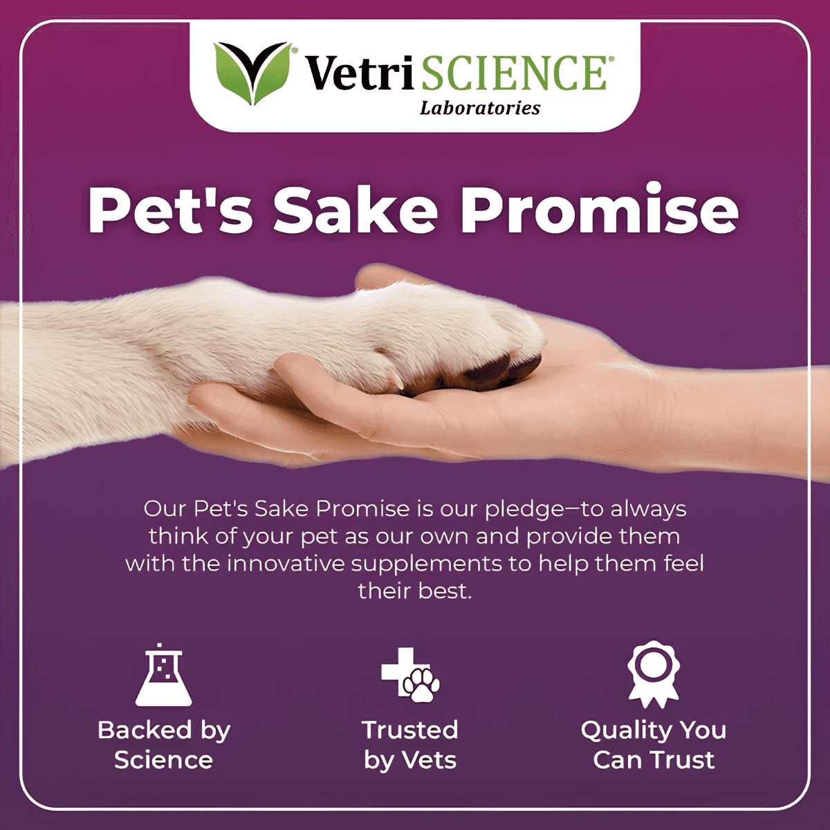 VetriScience Immunity Health Suplemento Inmunitario para Perros, Perros Pequeños